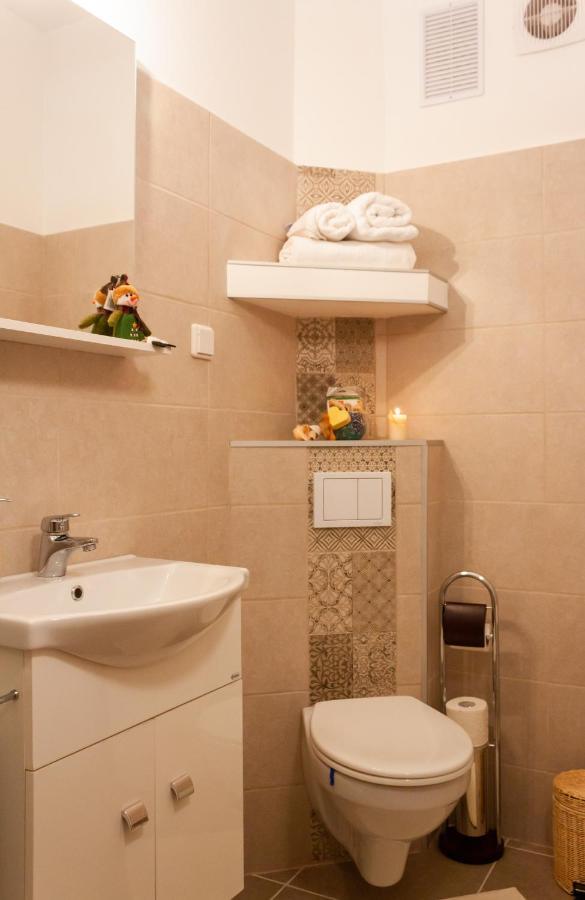 Cozy Family Apartments 布拉索夫 外观 照片