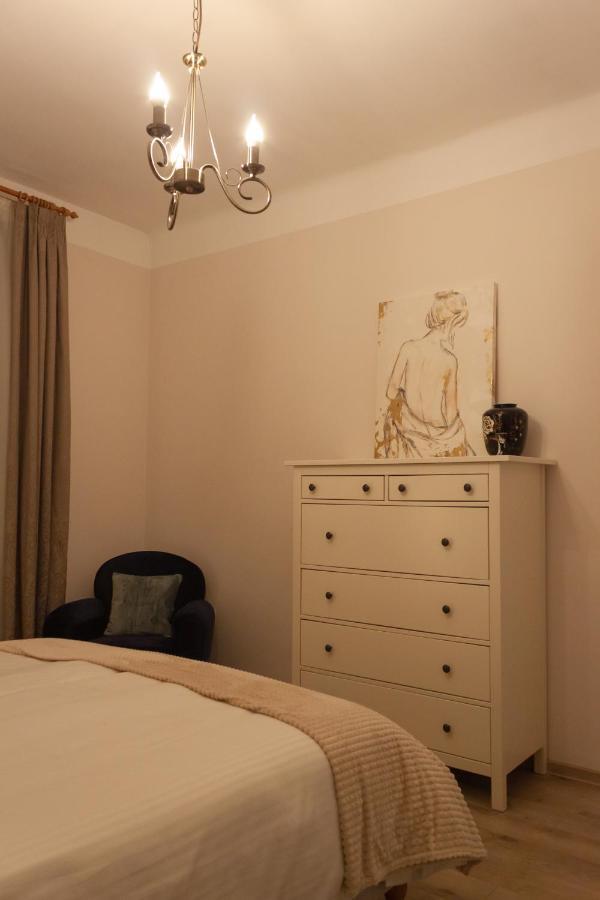 Cozy Family Apartments 布拉索夫 外观 照片