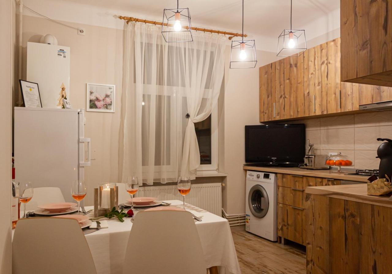 Cozy Family Apartments 布拉索夫 外观 照片