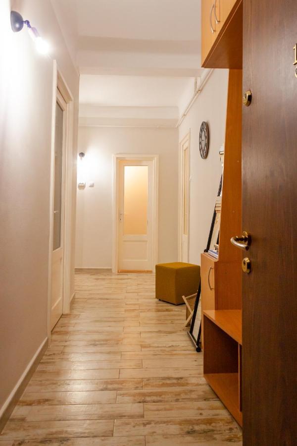Cozy Family Apartments 布拉索夫 外观 照片