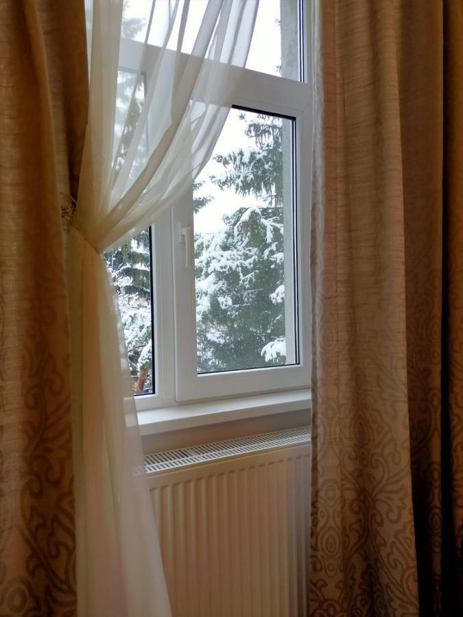 Cozy Family Apartments 布拉索夫 外观 照片